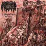 MEPHITIC CORPSE - Sickness Attracts Sickness CD